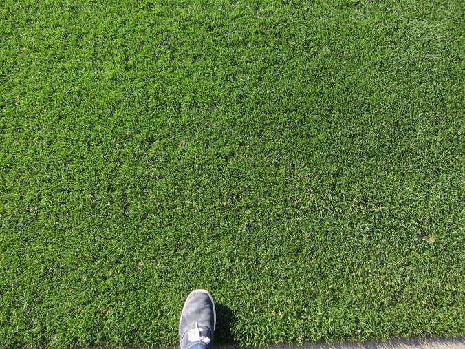 Stepping on the field