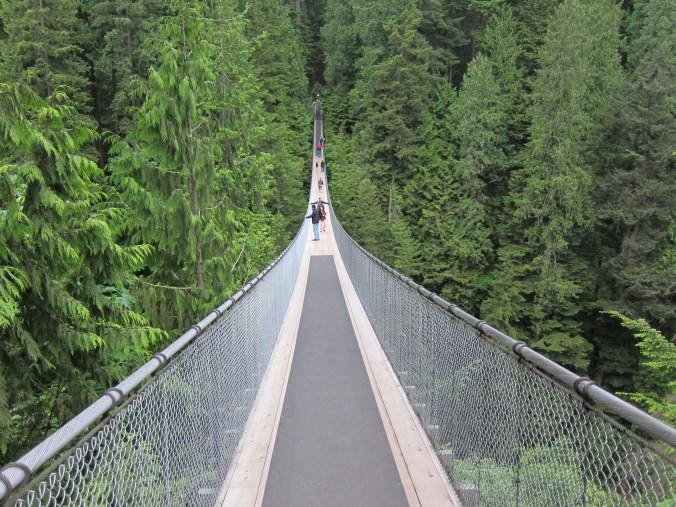 Suspension bridge