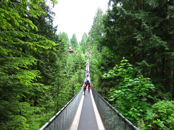Suspension bridge