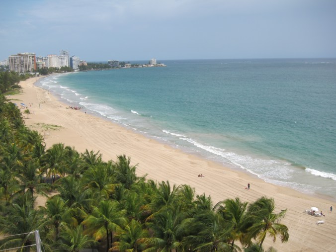 View from the kitchen