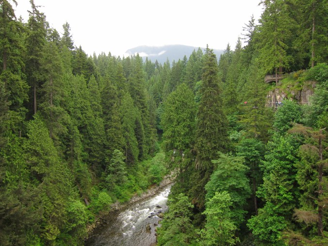 View from the bridge