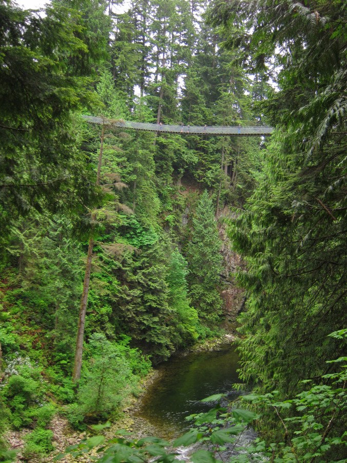 Suspension bridge above the river