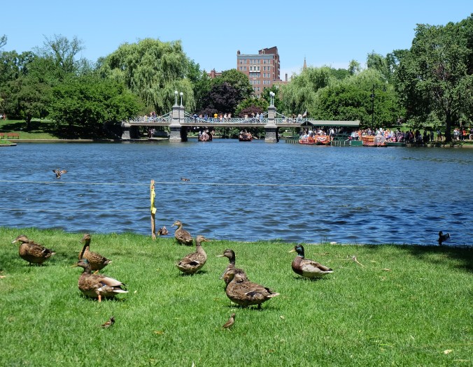 Boston Public Garden
