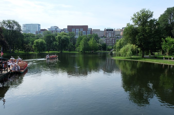 Swan Boats in Boston Public Garden