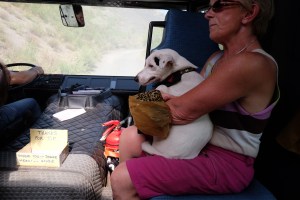 On the way up Mount Vesuvius