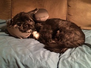 Eyes always on my wife