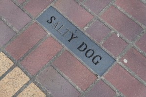 Footnotes by Gwen Boyle