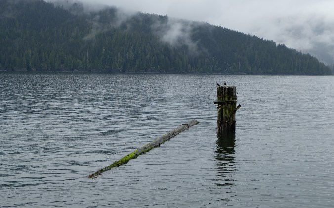 Port Renfrew, BC