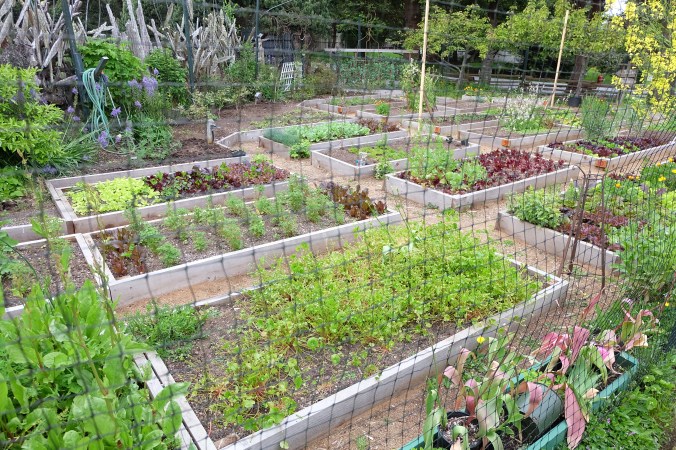 Gardens at Sooke Harbour House
