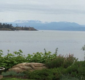 View during dinner at the Sooke Harbour House
