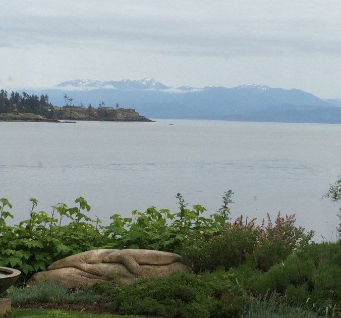 View during dinner at the Sooke Harbour House