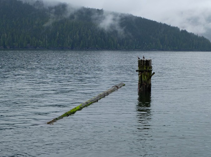 Favourite 2015 travel photos.  Port Renfrew, BC.  April 2015.