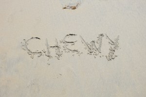 Chewy's name in the sand