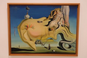 "Face of the Great Masturbator" by Salvador Dali