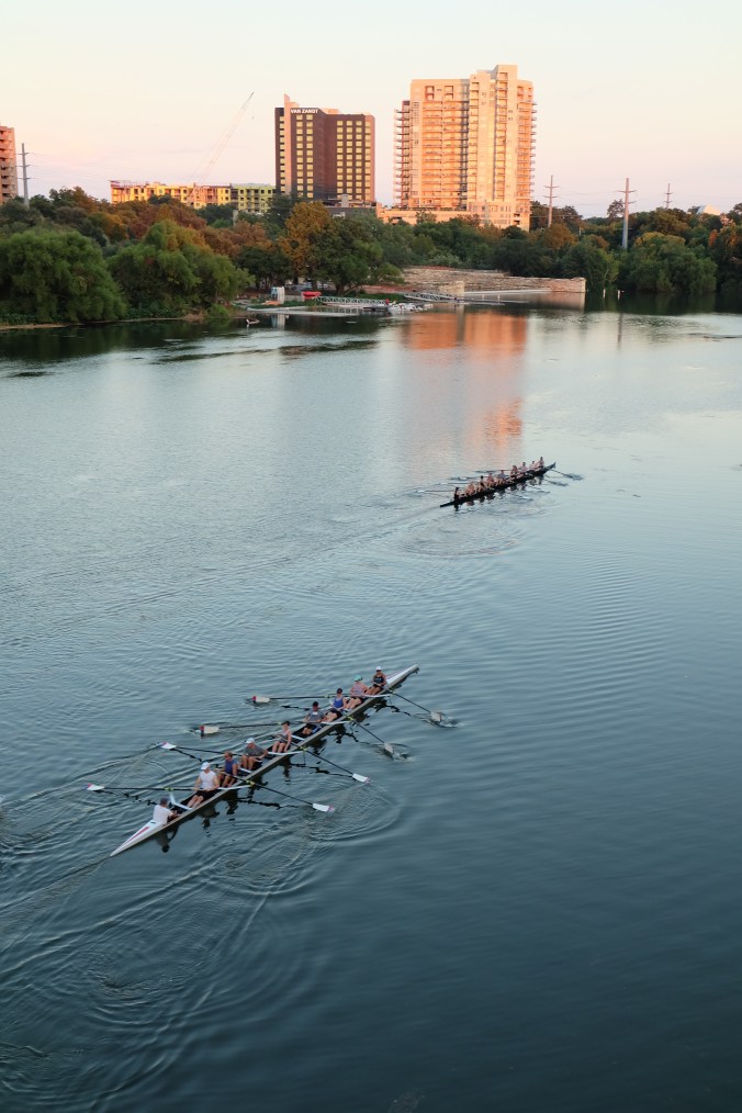 Watching rowers from the Congress Avenue Bridge