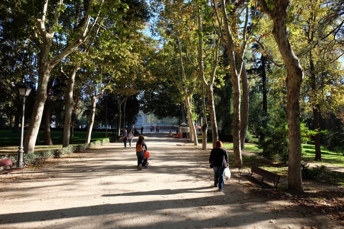 Late afternoon in Retiro Park