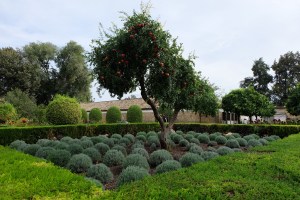 Gardens of the Alcazar