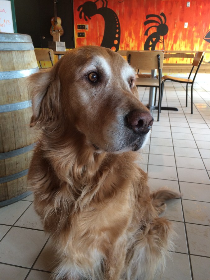Buddy Rae at Prairie Sun Brewery