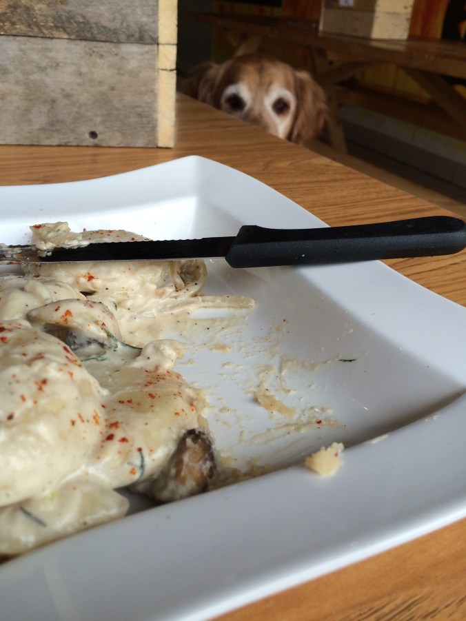 Buddy Rae at Prairie Sun Brewery