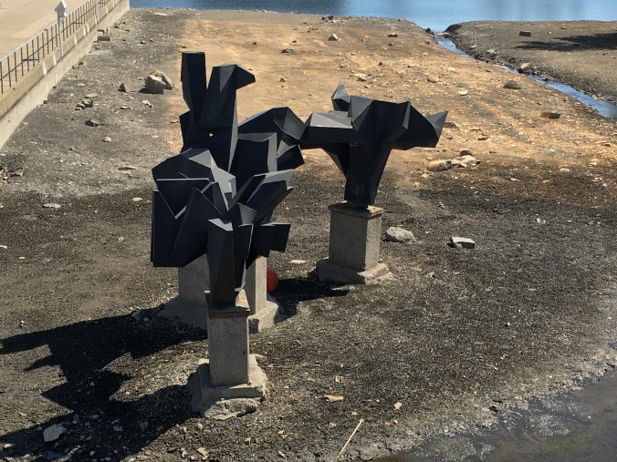 Acer by Pierre Heyvaert