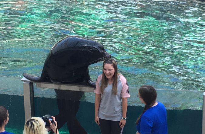 Sea lion at West Edmonton Mall