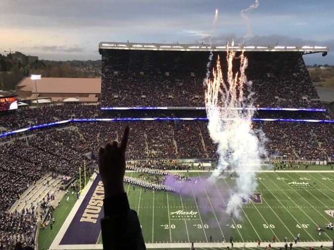 Huskies coming out of the tunnel