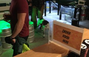 Dog at Flatstick Pub