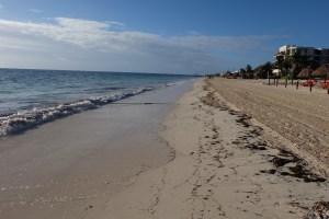 Beach walk near Puerto Morelos