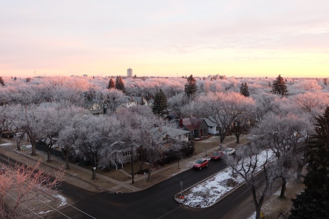 Hoar frost in Saskatoon