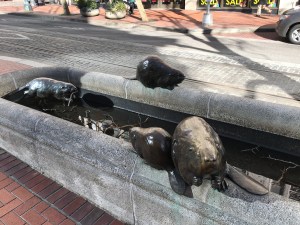 Animals in Pools by Georgia Gerber