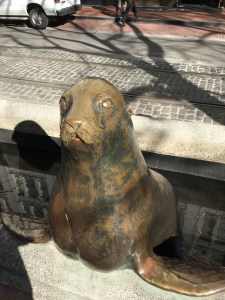 Animals in Pools by Georgia Gerber