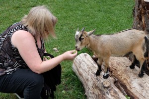 At Kangaroo Creek farm