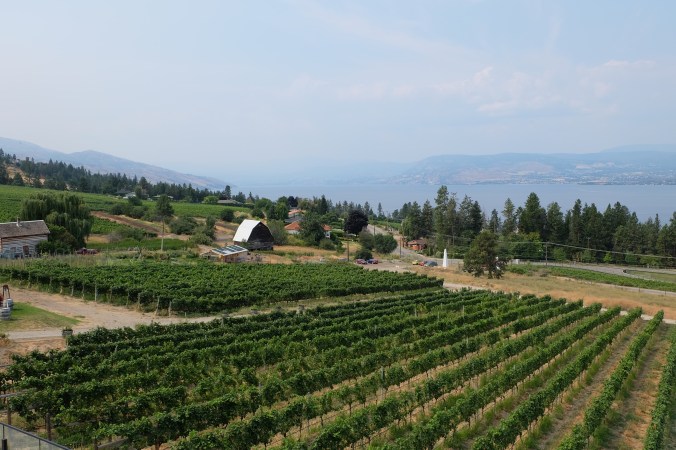 Summerhill Pyramid Winery