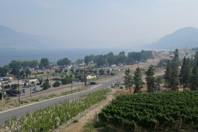 Play Winery in Penticton