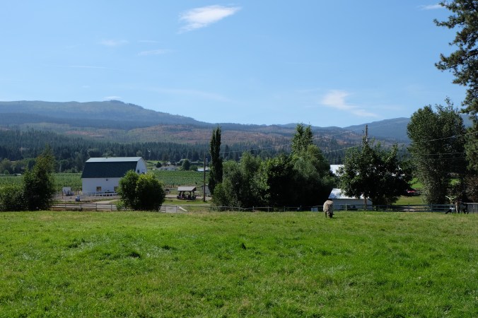 Arion Therapeutic Farm