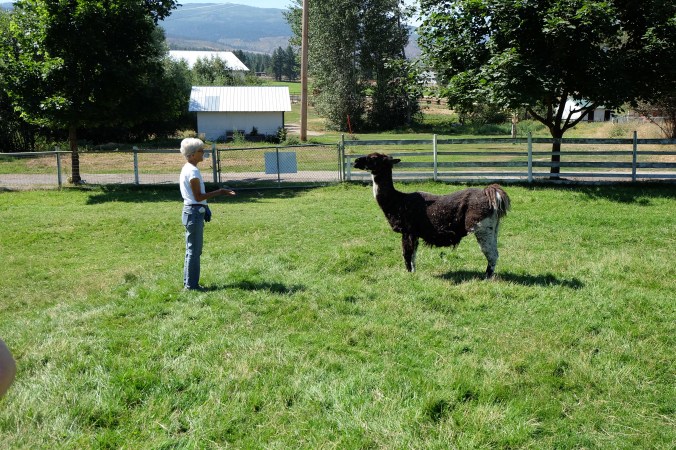 Arion Therapeutic Farm