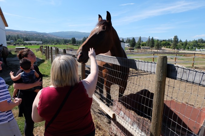 Arion Therapeutic Farm