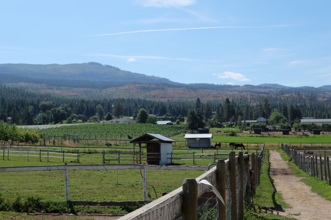 Arion Therapeutic Farm