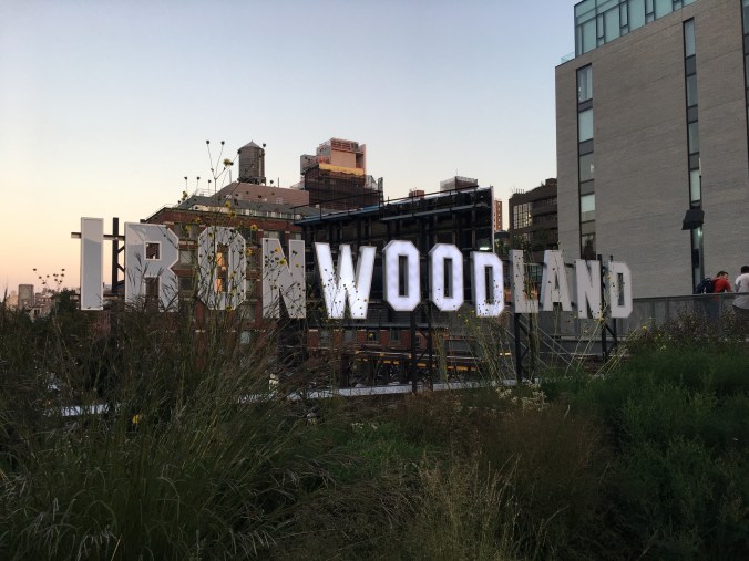 Sable Elyse Smith, C.R.E.A.M