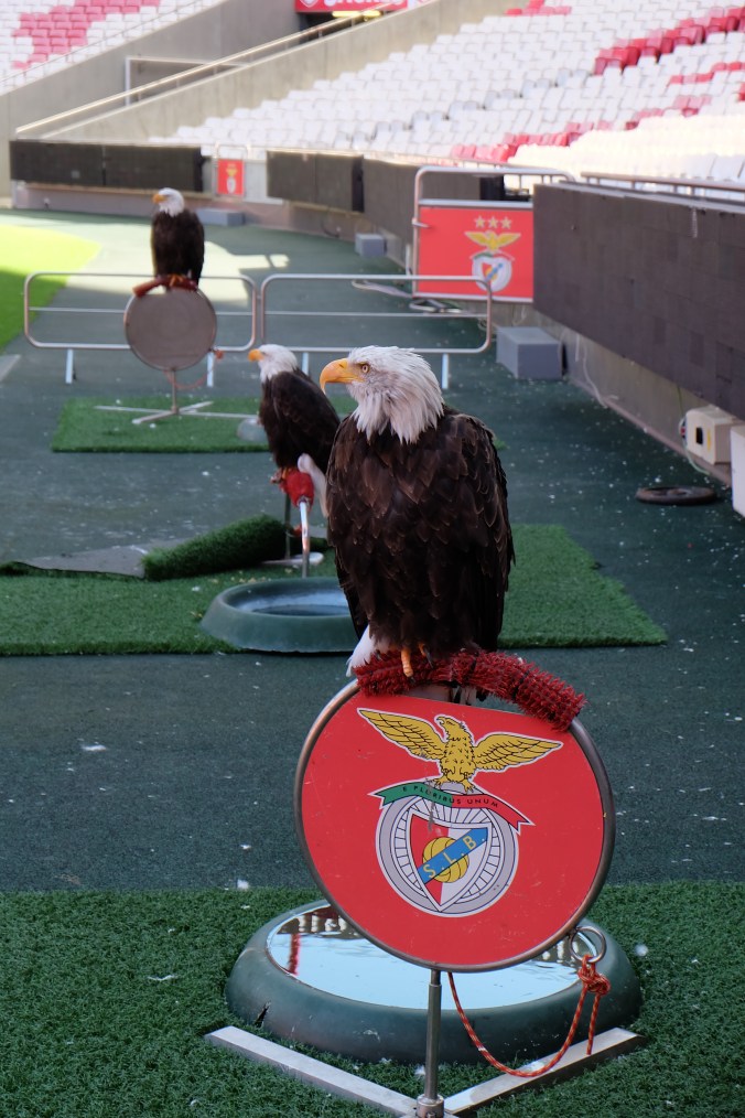 Benfica mascots