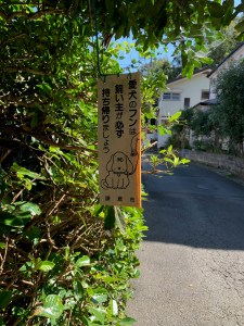 Walking outside Kamakura