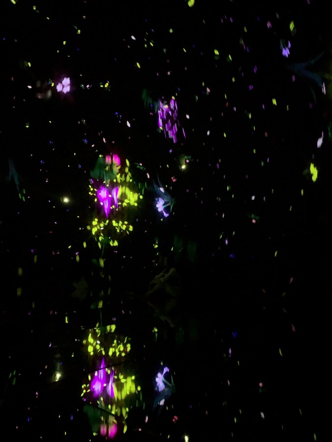 teamLab Planets