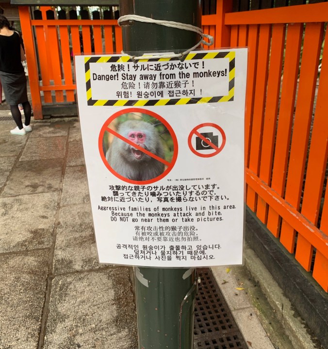 Climbing Mount Inari