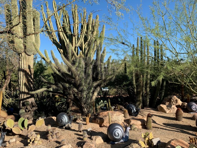 Desert Botanical Garden