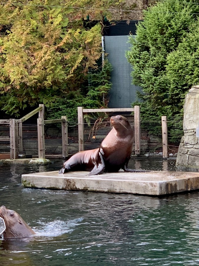 Vancouver Aquarium