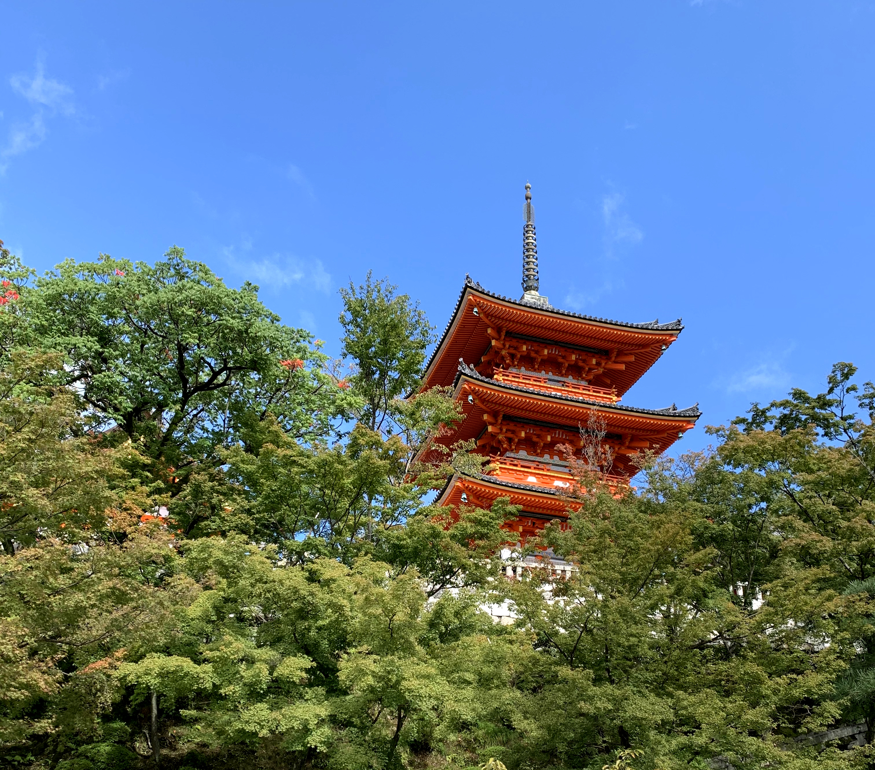 Favourite 2019 travel photos. Kyoto, Japan. October 2019.
