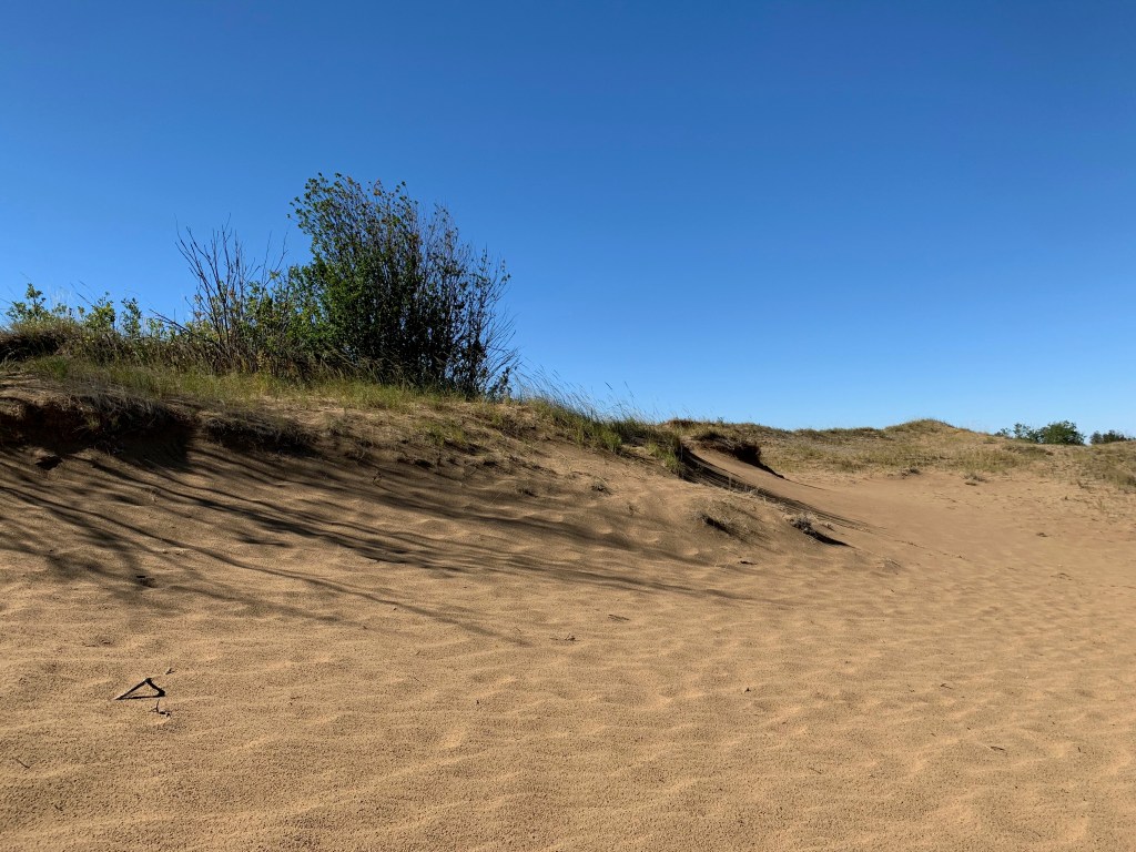 Sand dunes at Douglas Provincial Park