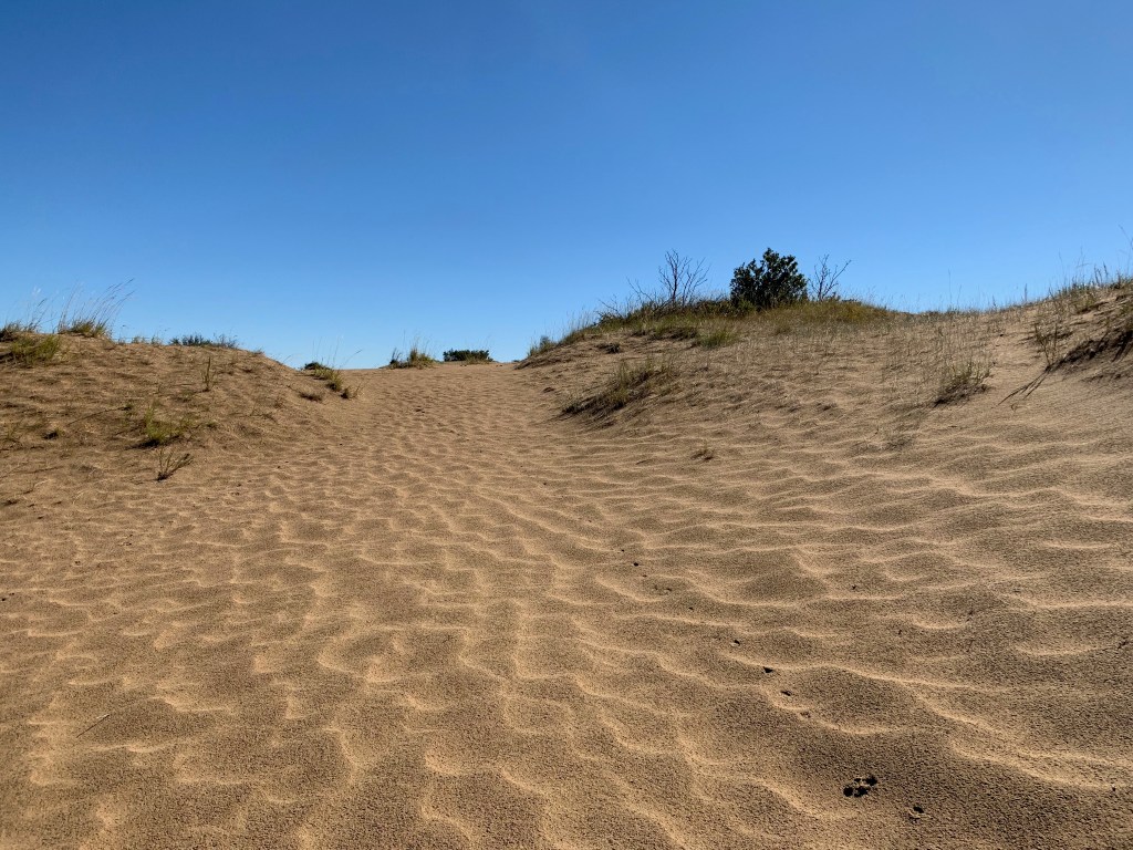 Sand dunes at Douglas Provincial Park