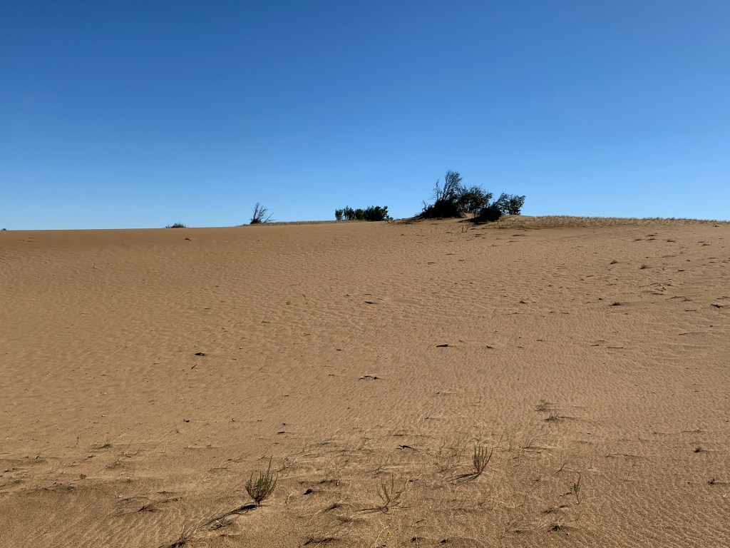 Sand dunes at Douglas Provincial Park