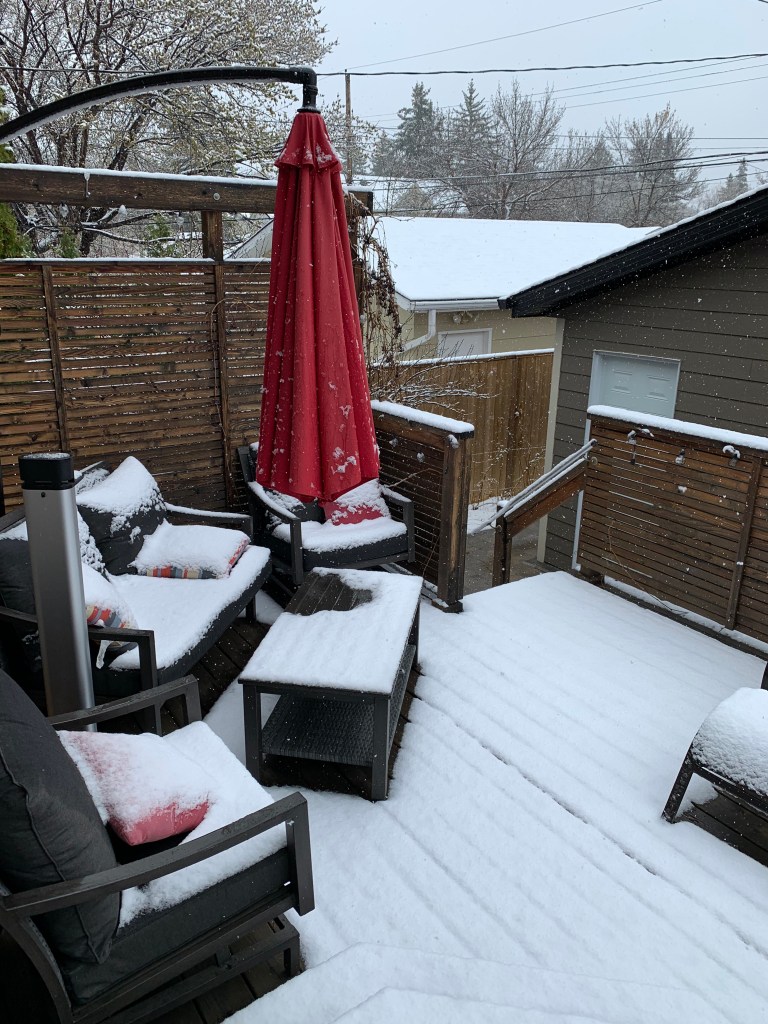 Back deck, Saskatoon